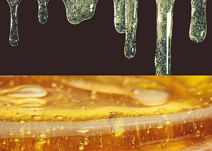 OrganicGlue aus biogenen Rohstoffen OrganicGlue aus biogenen Rohstoffen