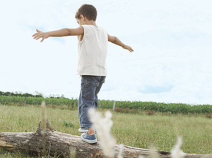 Here you will find all information on Pfleiderer's corporate responsibility with regard to quality philosophy, occupational safety, energy management, the environment and sustainability. A boy can be seen from behind, balancing on a tree trunk in nature.