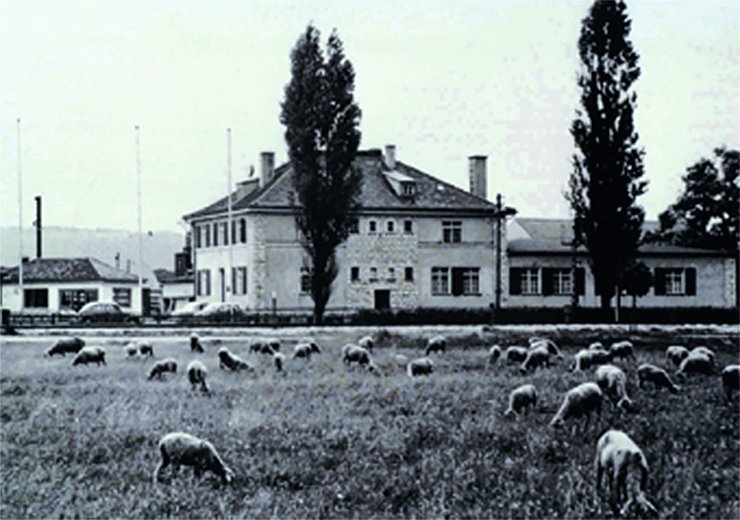 1944 Spostamento della sede principale dell'azienda a Neumarkt  1944 Spostamento della sede principale dell'azienda a Neumarkt