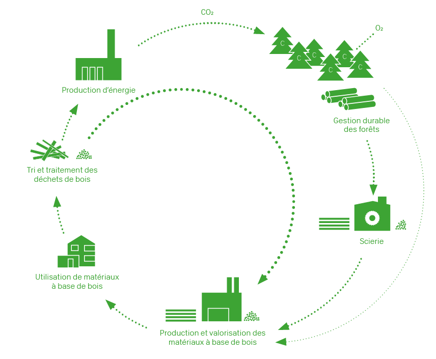 Scierie Eco responsable, Gestion durable des forêts Ressources forestière